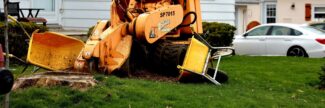 Granbury Stump Grinding